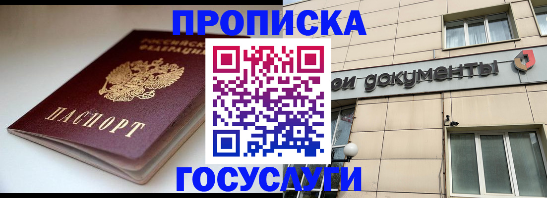 временная регистрация госуслуги в Лузе